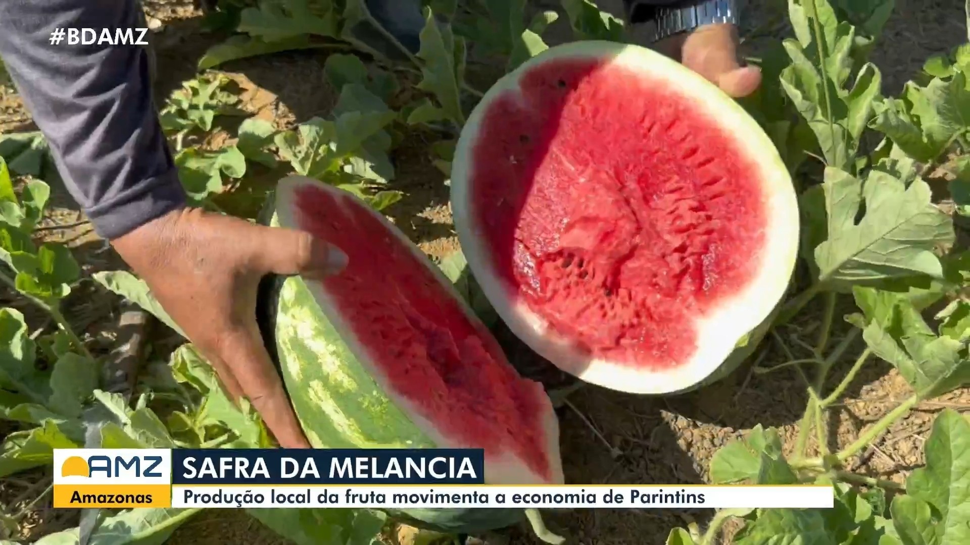 VÍDEOS: Bom Dia Amazônia desta quinta-feira, 13 de agosto de 2026.