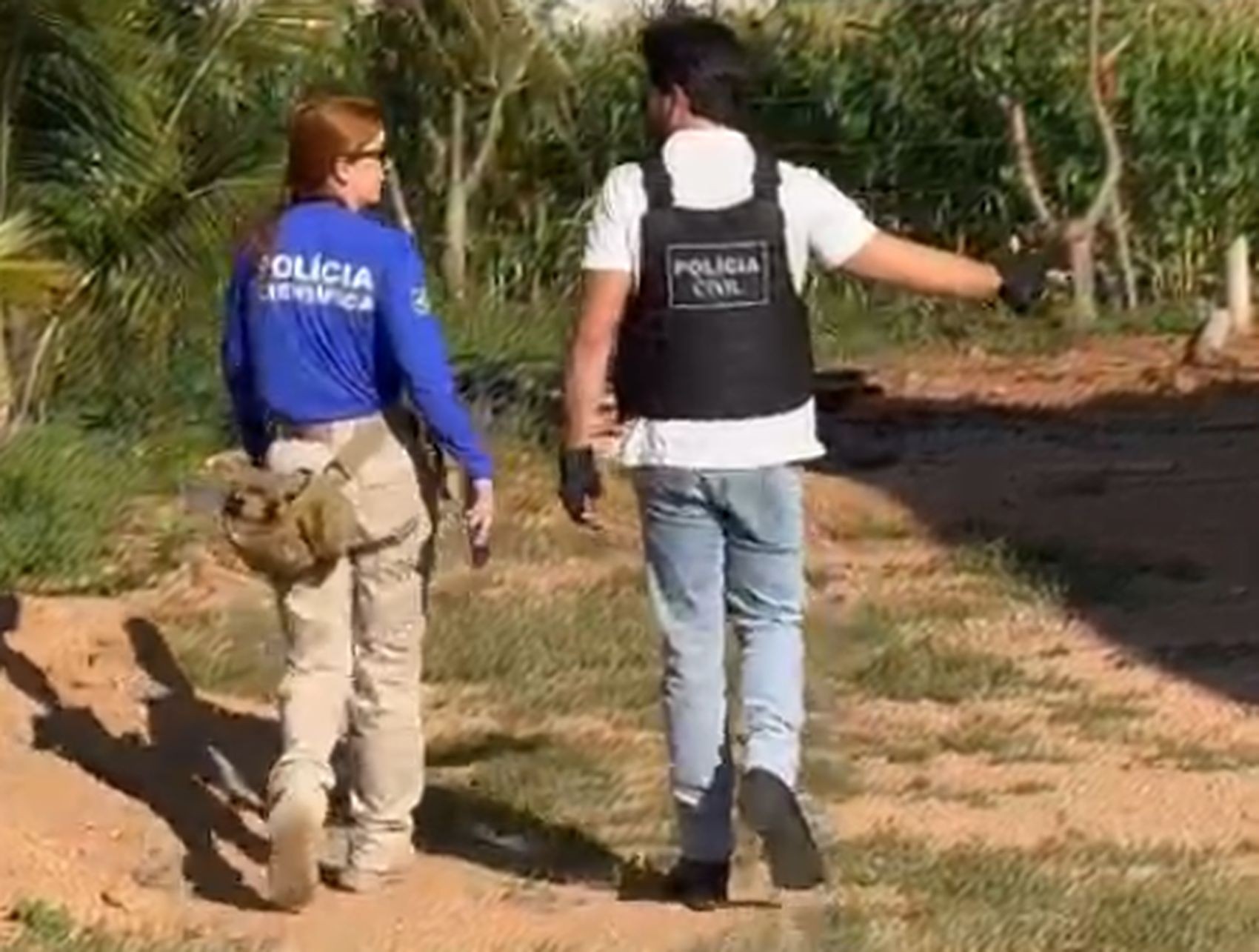 Morte de cachorro em Canindé de São Francisco é investigada