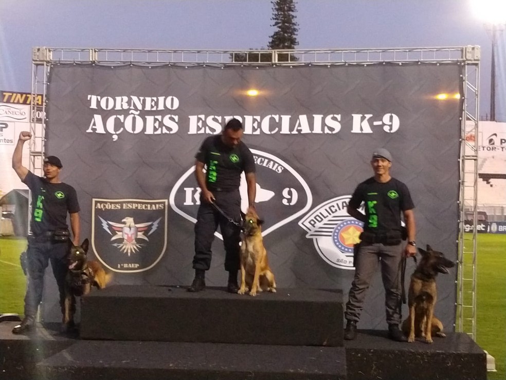 G1 > Brasil - NOTÍCIAS - Cem cães participam de campeonato de