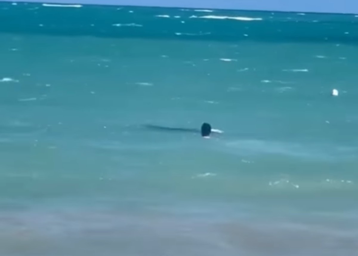 Pescador morre afogado na Praia de Ipioca, em Maceió