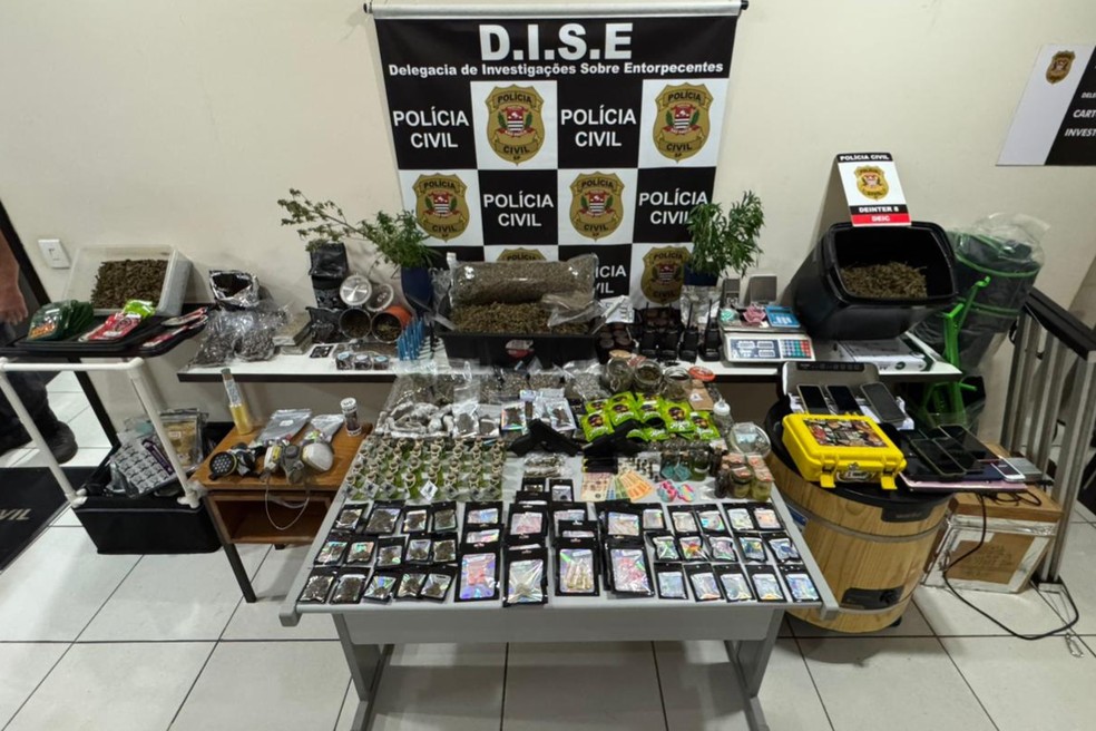 Grande quantidade de drogas e outras substâncias entorpecentes, além de arma e munições, foram apreendidas durante a operação — Foto: Polícia Civil/Divulgação