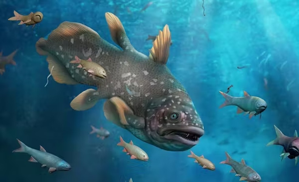 Recriao de um fssil encontrado na formao Daye, no sul da China, que data de 250,8 milhes de anos atrs  Foto: Dinghua Yang, Haijun Song/Agncia Sinc, CC BY, via The Conversation