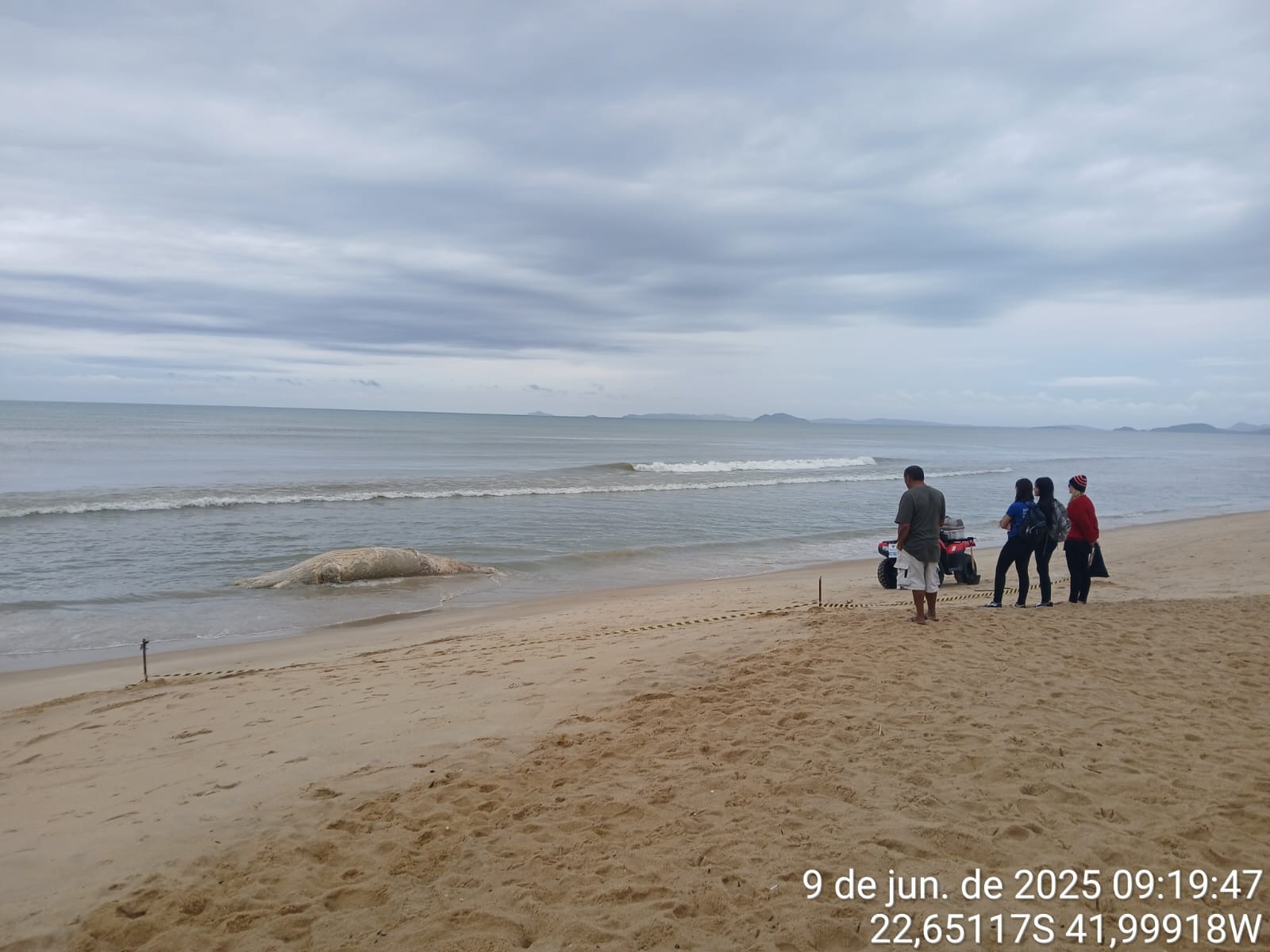 Baleia-jubarte é encontrada morta na praia de Unamar, em Cabo Frio