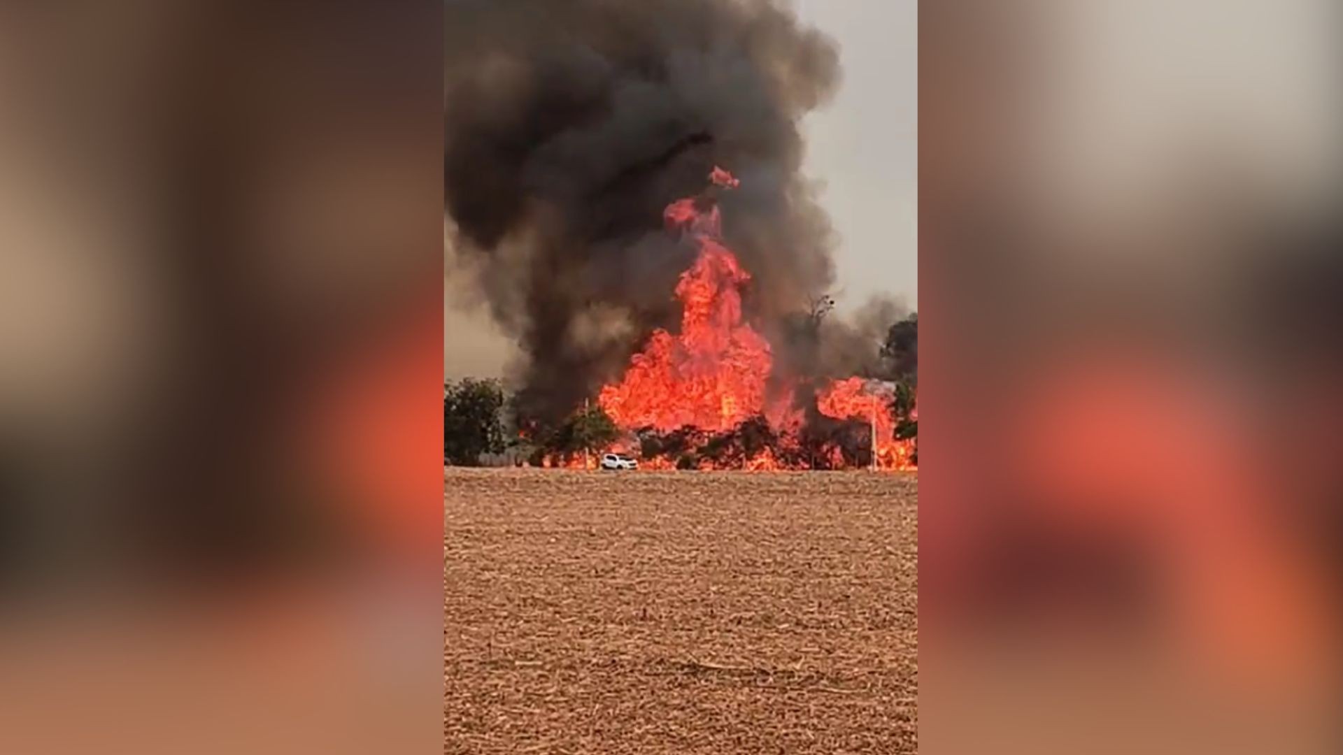 Incêndio atinge área rural em cidade do interior de SP e causa destruição