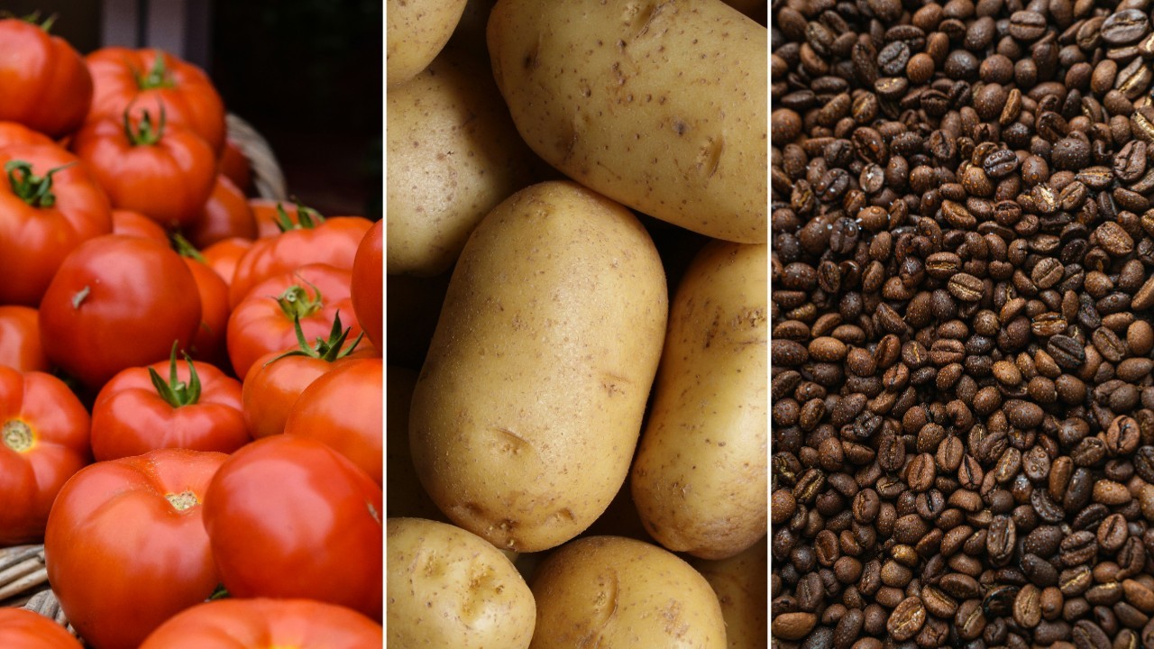 Preço dos alimentos: o que ficou mais caro e o que barateou em outubro