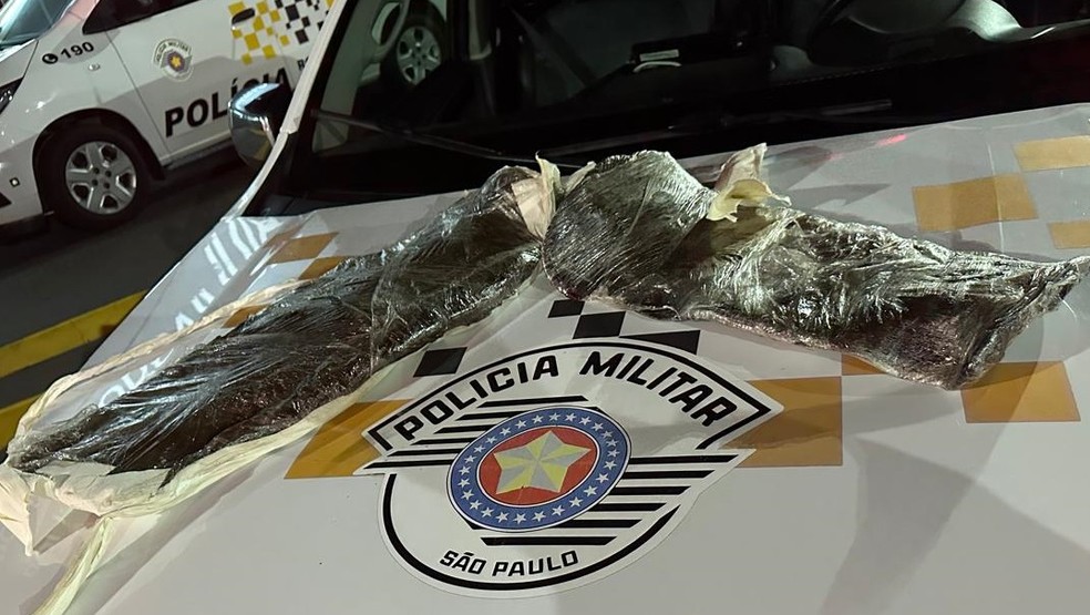 Ocorrência foi registrada nesta sexta-feira (14), em Presidente Epitácio (SP) — Foto: Polícia Rodoviária