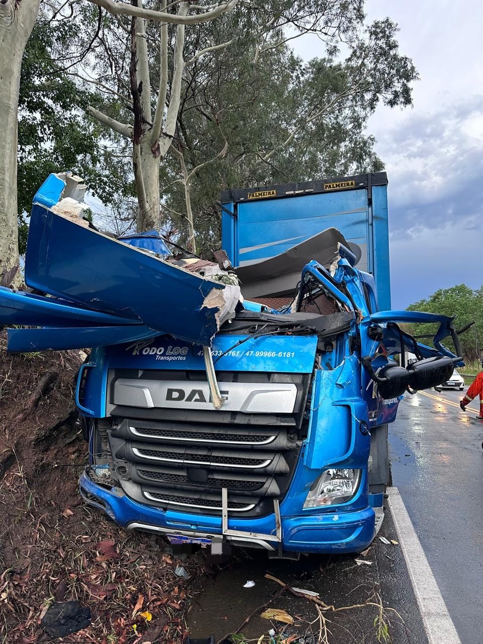 Motorista fica ferido após árvore cair e atingir caminhão na BR-393, em Sapucaia 