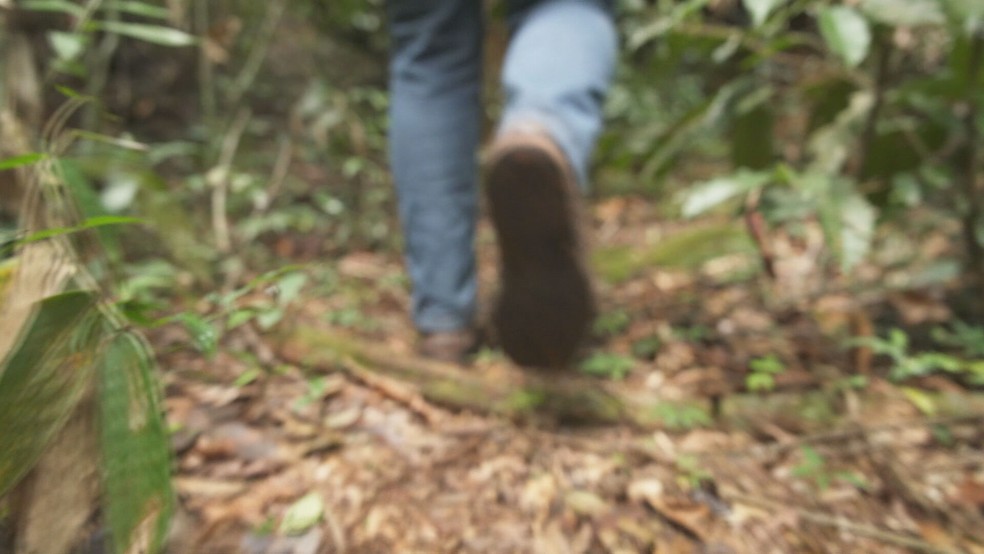 Após queda de avião, Matheus sobreviveu 24 dias perdidos na floresta — Foto: Reprodução/TV Globo