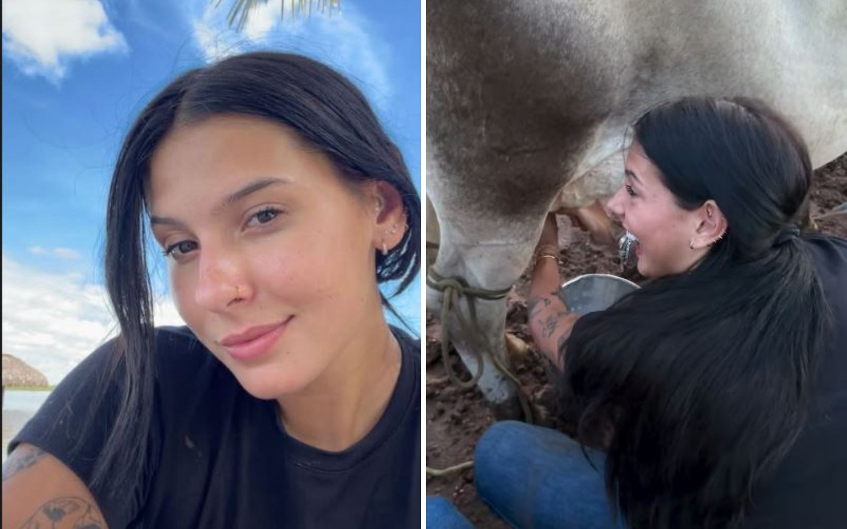 Ana Castela tira leite de vaca, vacina e marca gado na fazenda de Leonardo e reforça o título de boiadeira