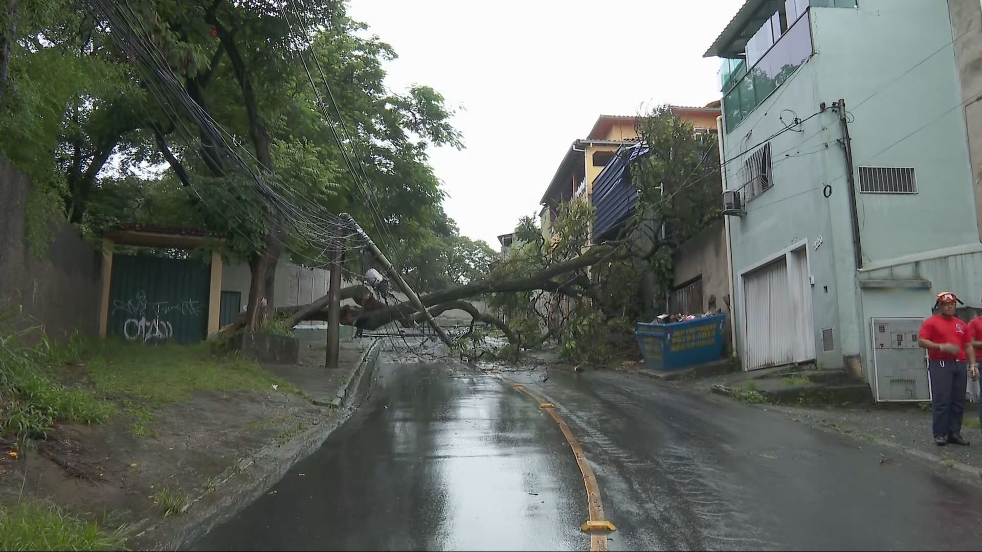 Em dia de chuva sem trégua, BH registra queda de árvores e postes; 5 regionais da cidade estão em risco geológico