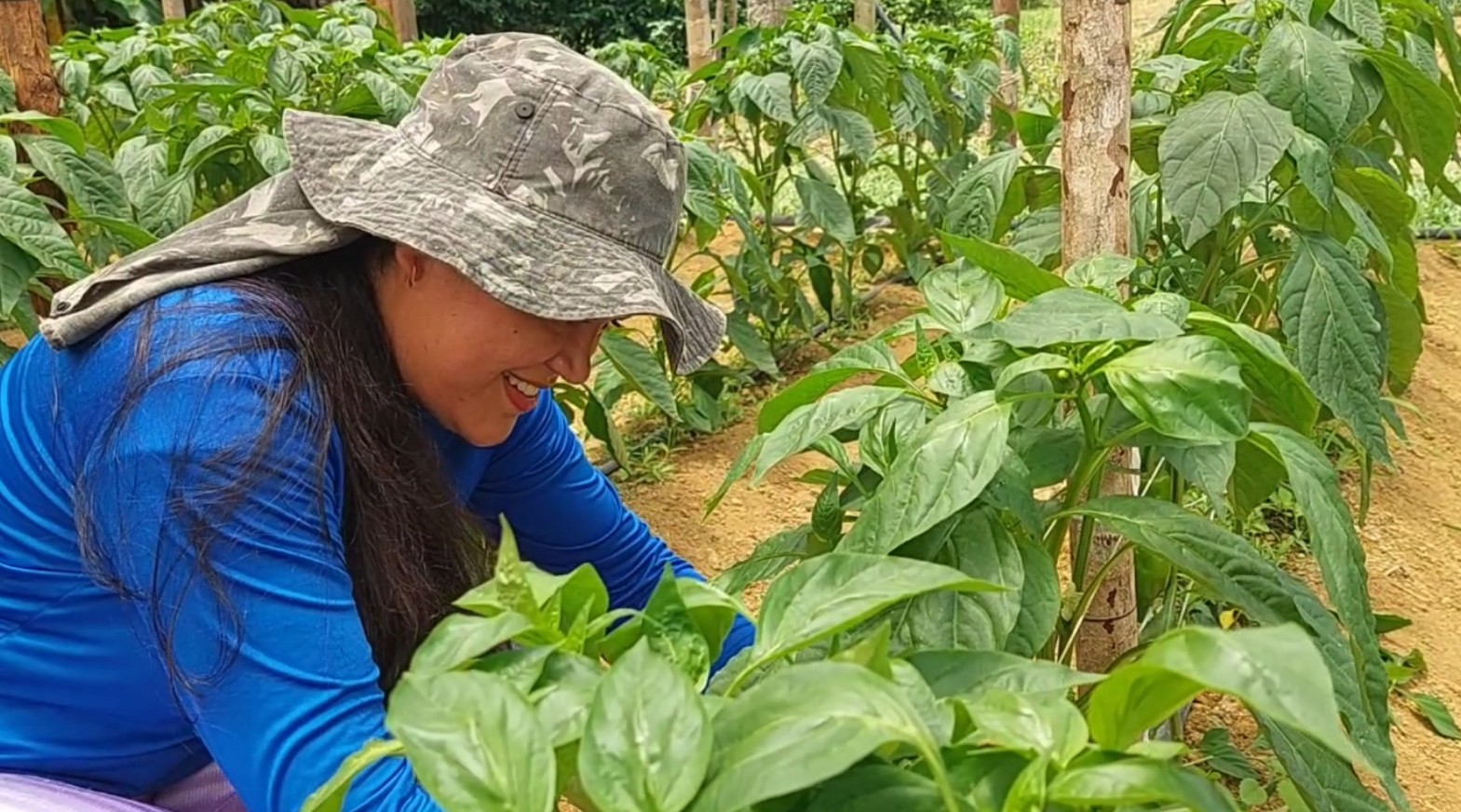 Mulheres do campo: a força que transforma a agricultura familiar no Amazonas