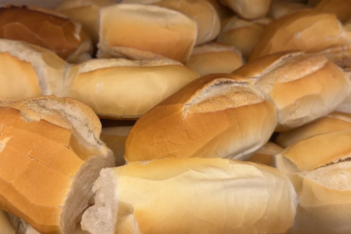 Dia do Pão: veja quanto custa o pão francês em diferentes regiões de São José dos Campos, segundo Procon