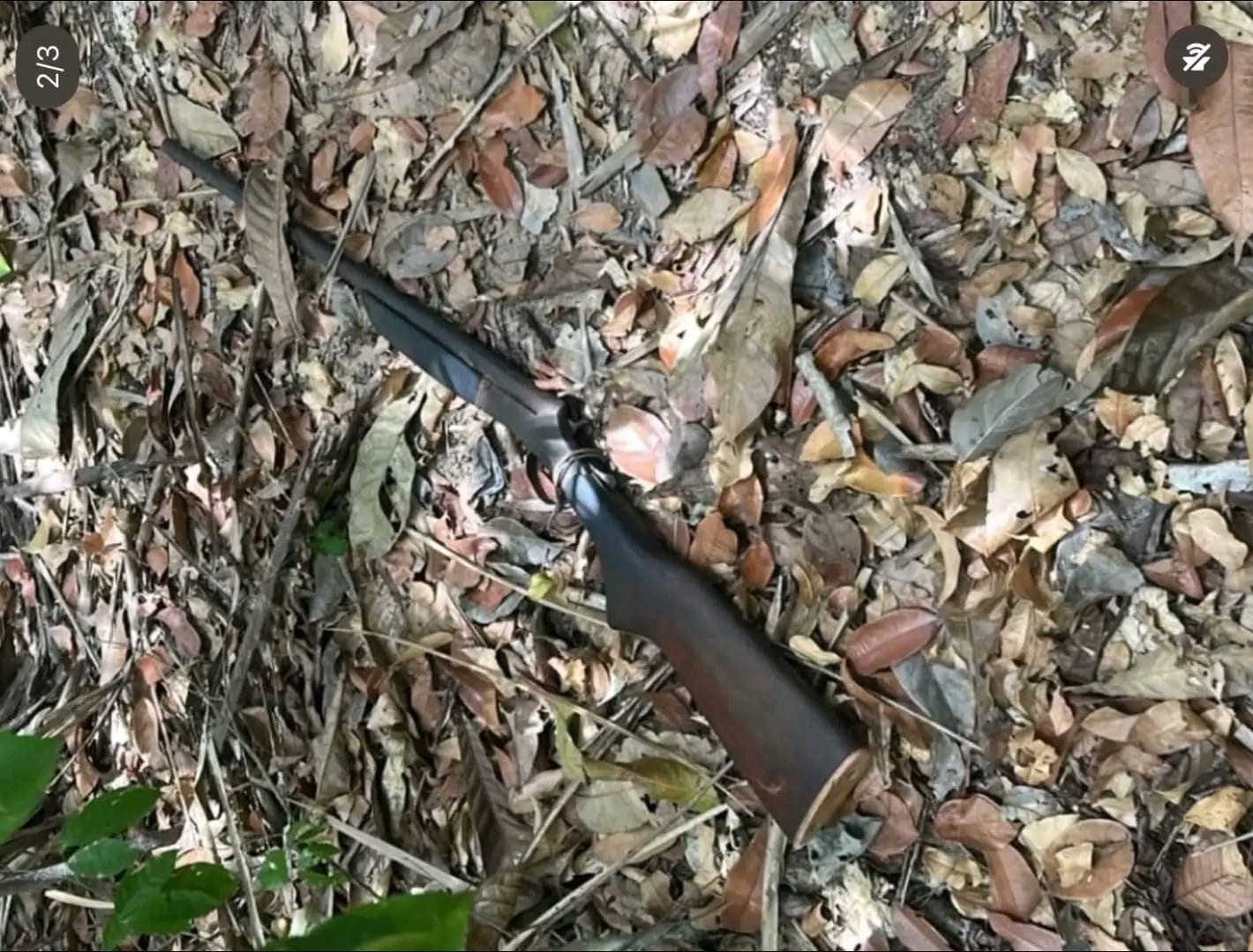 Idosa morre após disparo acidental durante caça no PA; marido é preso