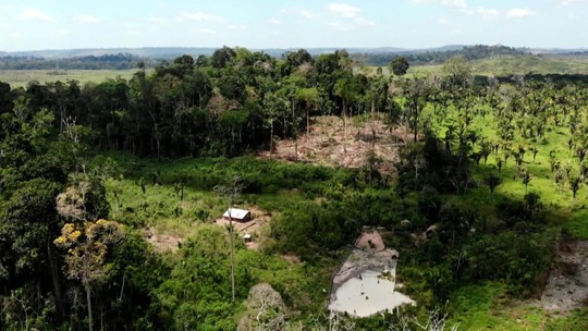 GloboNews Especial mostra os conflitos agrários na série Amazônia - Programa: GloboNews Especial 