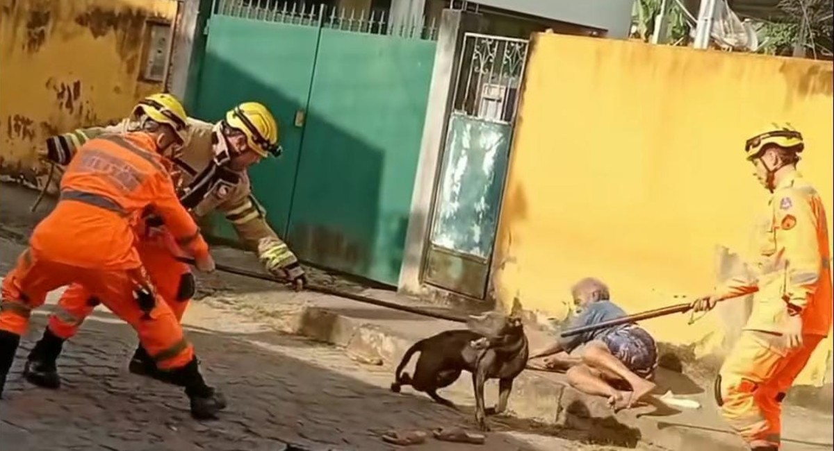VÍDEO: Idosa é mordida por pitbull e segura patas do animal até a chegada dos bombeiros 