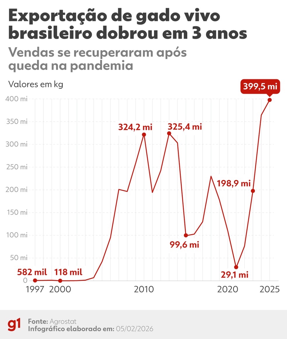 260205 info gado vivo - Exporta&ccedil;&atilde;o de gado vivo dobra em 3 anos, mesmo com cr&iacute;ticas de ambientalistas ao transporte