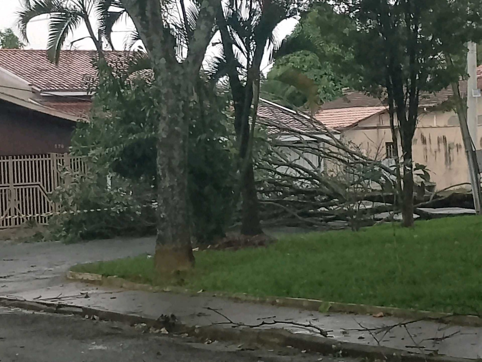 Chuva forte derruba árvores em Taubaté e Caçapava neste sábado (27)