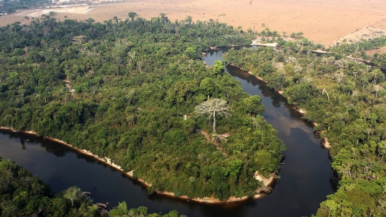 Floresta destruída no AM leva à proibição de uso de fazenda e bloqueio milionário