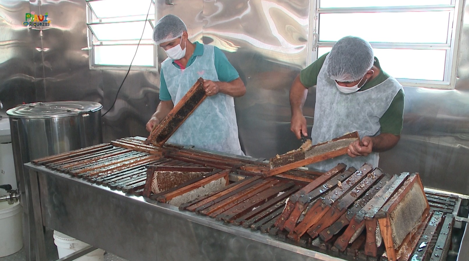 Piauí de Riquezas deste sábado (14) mostra produção de mel em Milton Brandão, no norte do Piauí