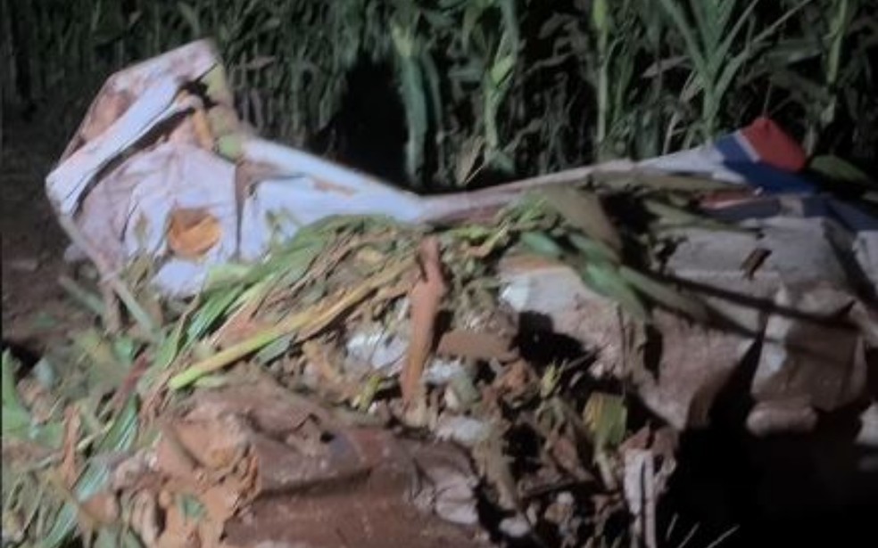 Avião de pequeno porte cai em Rio Verde — Foto: Reprodução/TV Anhanguera