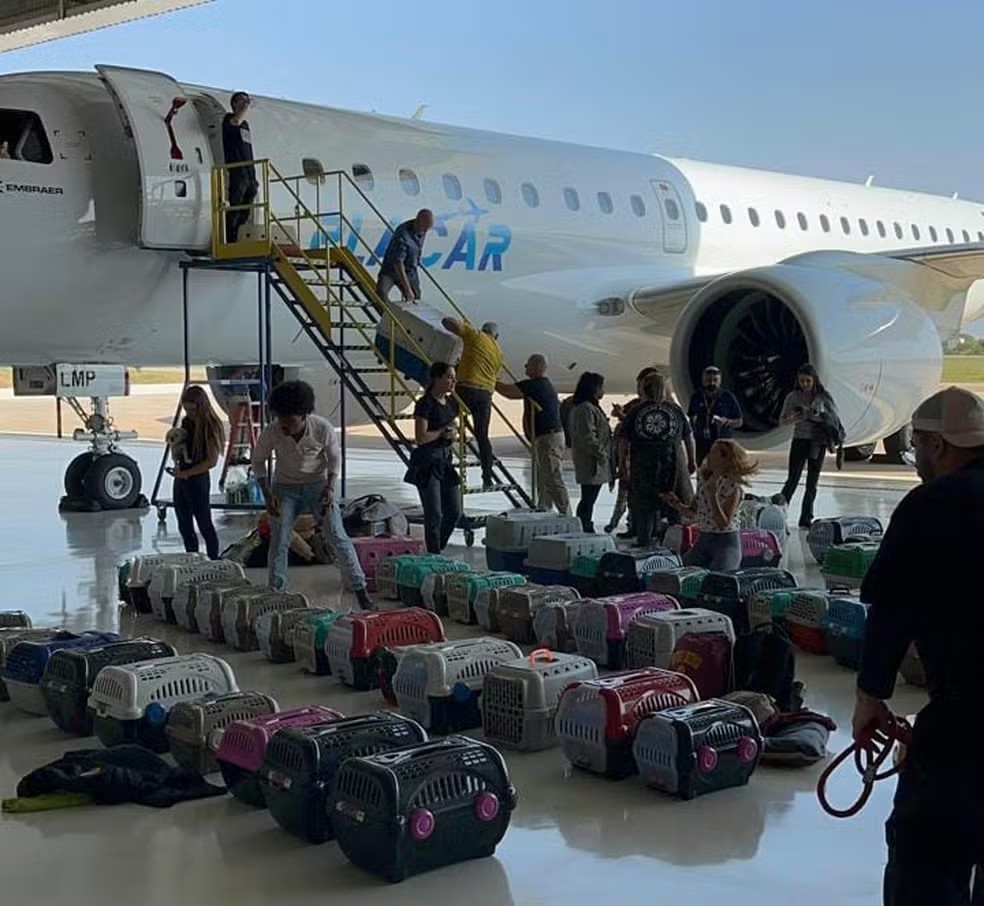 Avião da presidente do Palmeiras pousa no aeroporto de Sorocaba com animais resgatados das enchentes no RS