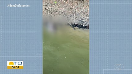 Botos são encontrados mortos às margens do Rio Araguaia