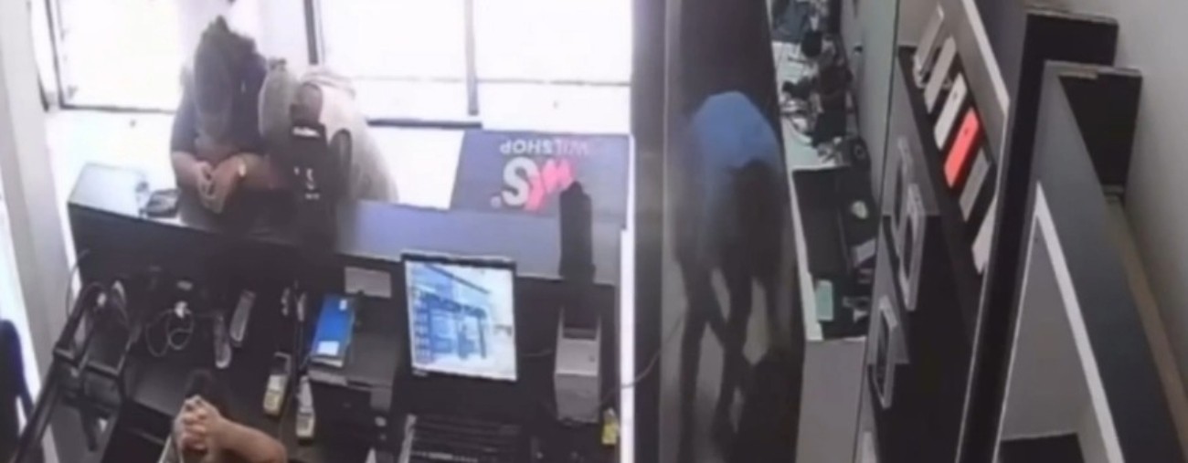 Vídeo de câmera de segurança mostra assalto a loja em Pedreiras; 30 celulares foram roubados