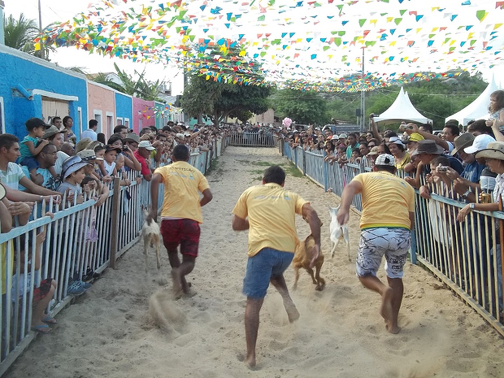 'Fórmula Bode' em Cabaceiras — Foto: Taiguara Rangel/G1