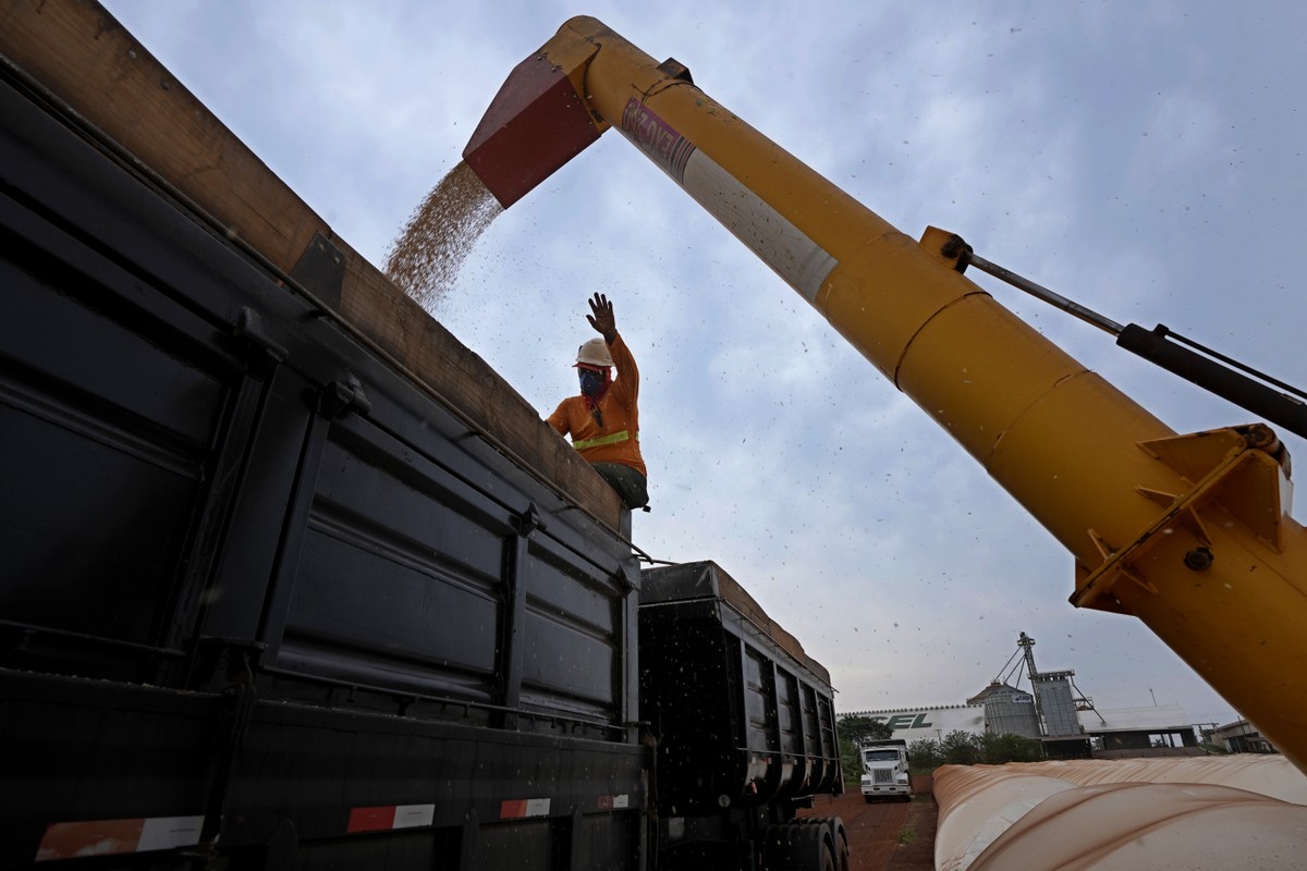 TecnoAgro: conheça o evento que vai reunir inovação, tecnologia, capacitação e investimento em MG | Agronegócios