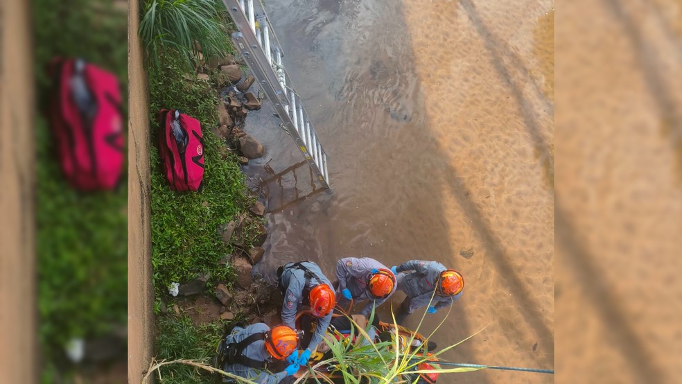 1 de 2
Homem de 29 anos cai no Rio Bauru e &eacute; resgatado pelo Corpo de Bombeiros &mdash; Foto: Corpo de Bombeiros