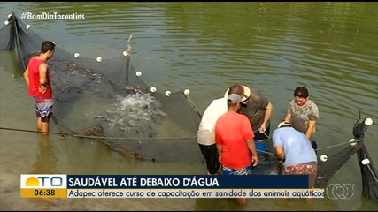 Curso capacita profissionais da Adapec em sanidade dos animais aquáticos