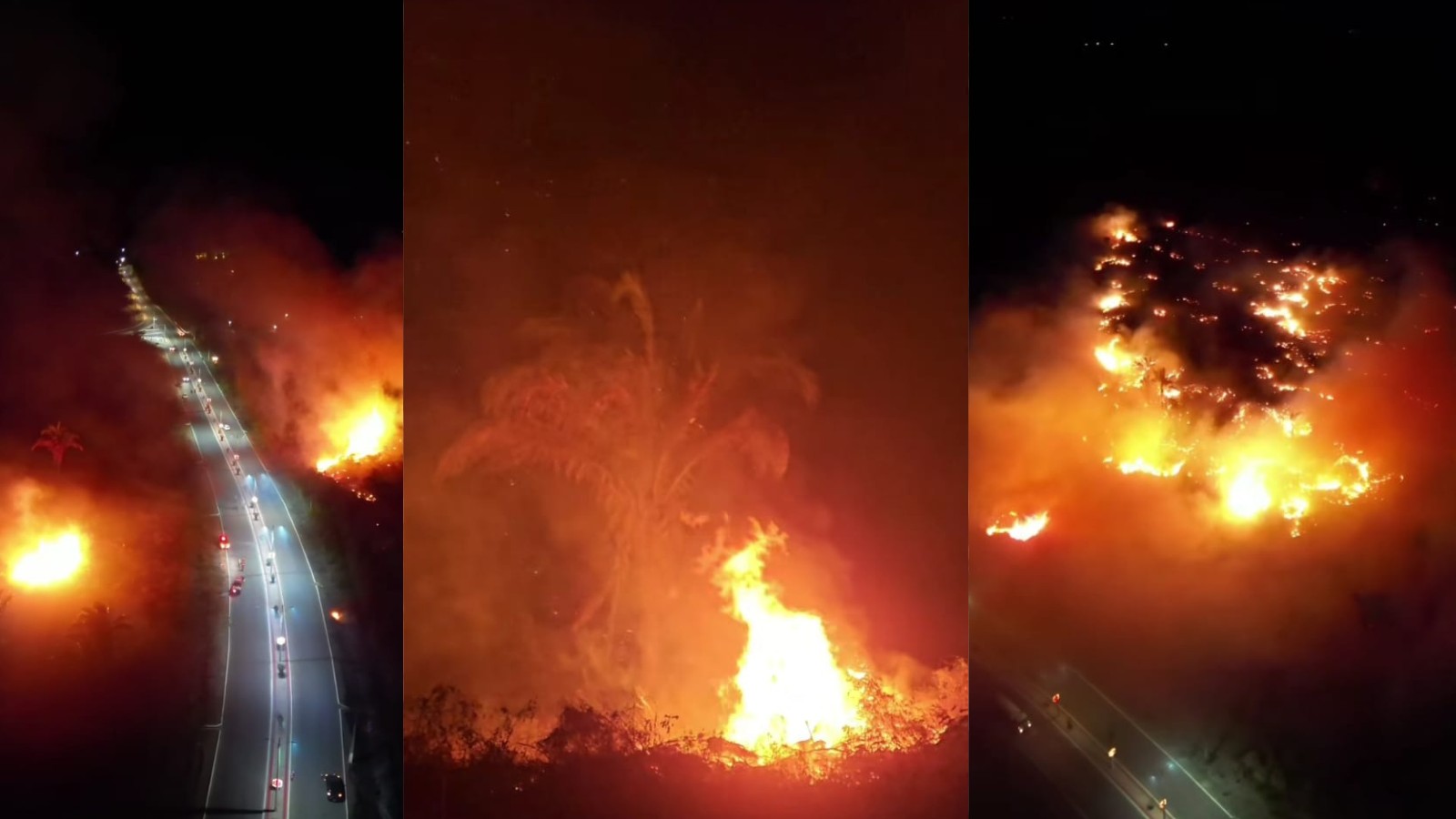 Incêndio de grande proporção atinge floresta em cidade no Norte do Piauí