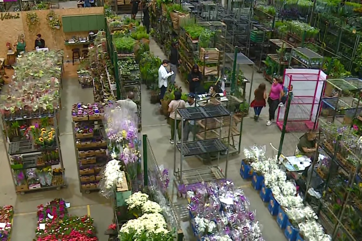 Dia das Mães: região de Campinas projeta crescimento nas vendas mas setor de flores vê cenário diverso