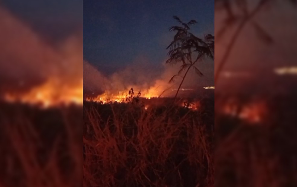 Fogo consome uma Área de Preservação Permanente (APP) às margens da Estrada Municipal Plínio Homem de Góis Filho. — Foto: Defesa Civil/Divulgação