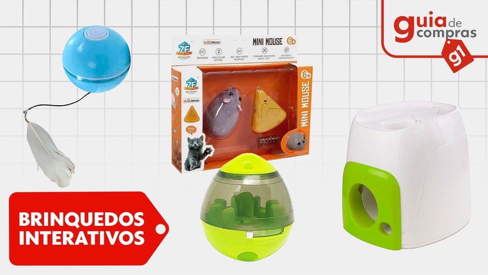 Compre 360 rotação inseto gato brinquedo interativo animal de estimação cão  brinquedo descomprimir lagarta ponta do dedo caracol brinquedos para  animais de estimação