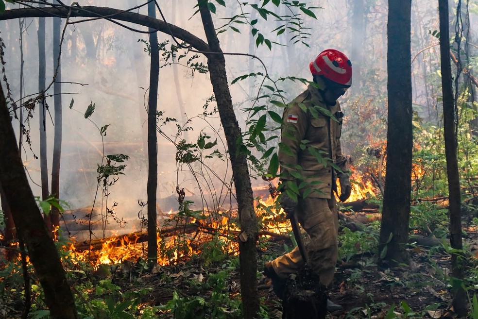 Bombeiros atuam em incêndio em zona rural de Itacoatiara. — Foto: Liam Cavalcante/Rede Amazônica