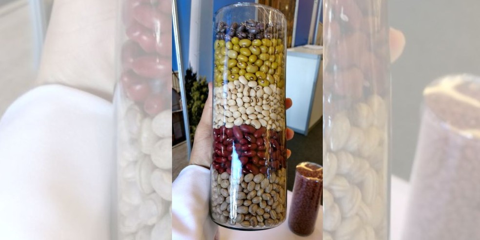 6 de 6
Dia do Feilão foi escolhido pela Organização das Nações Unidas para a Alimentação e a Agricultura (FAO) em 2019 — Foto: Cati/Divulgação