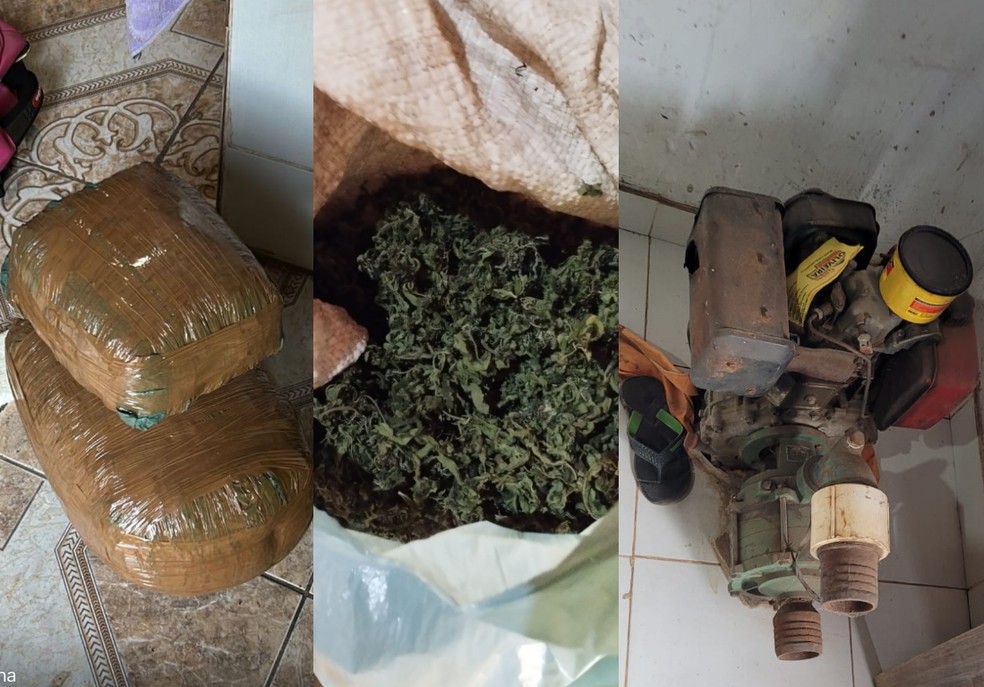 Polícia Federal prende nove suspeitos por tráfico de drogas em Terra Indígena no Maranhão — Foto: Divulgação/Polícia Federal