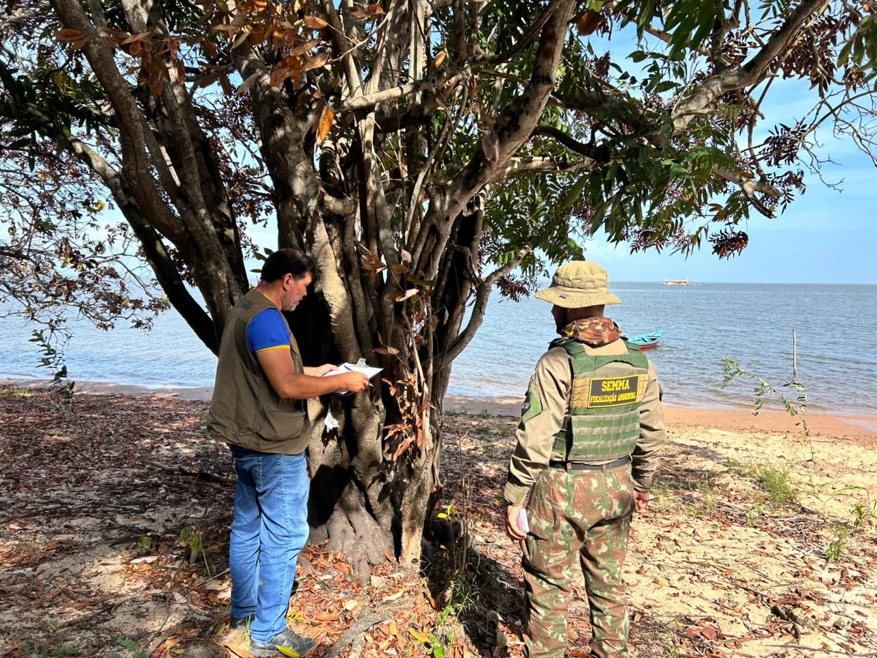 Semma investiga suspeita de envenenamento de árvores na praia do Jacundá em Alter do Chão