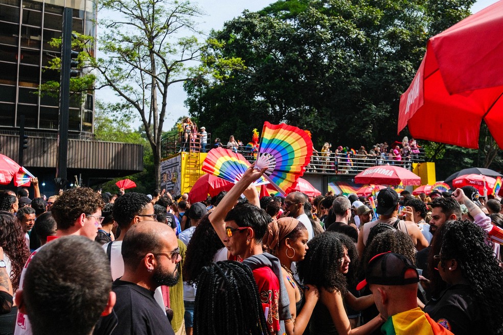 Leques coloridos na 29ª Parada LGBT de SP. — Foto: Luiz Franco/ g1