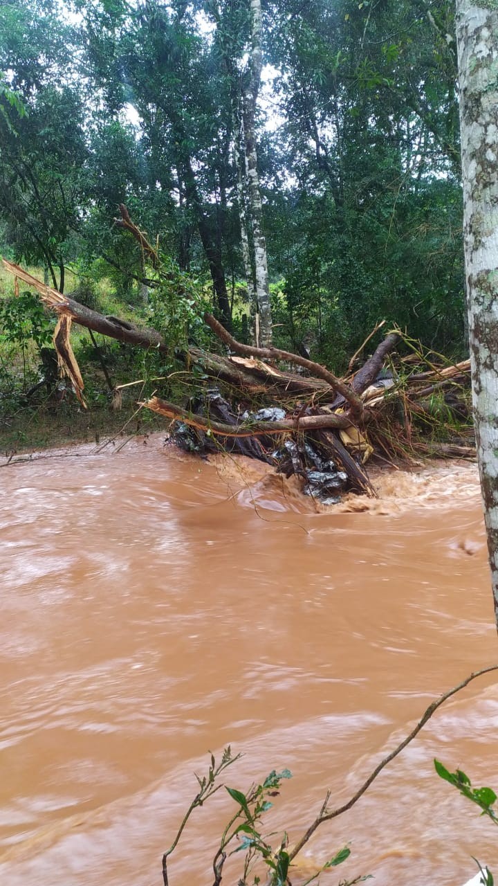 Homem morre após ser arrastado por 5 km pela chuva no Paraná, afirma polícia