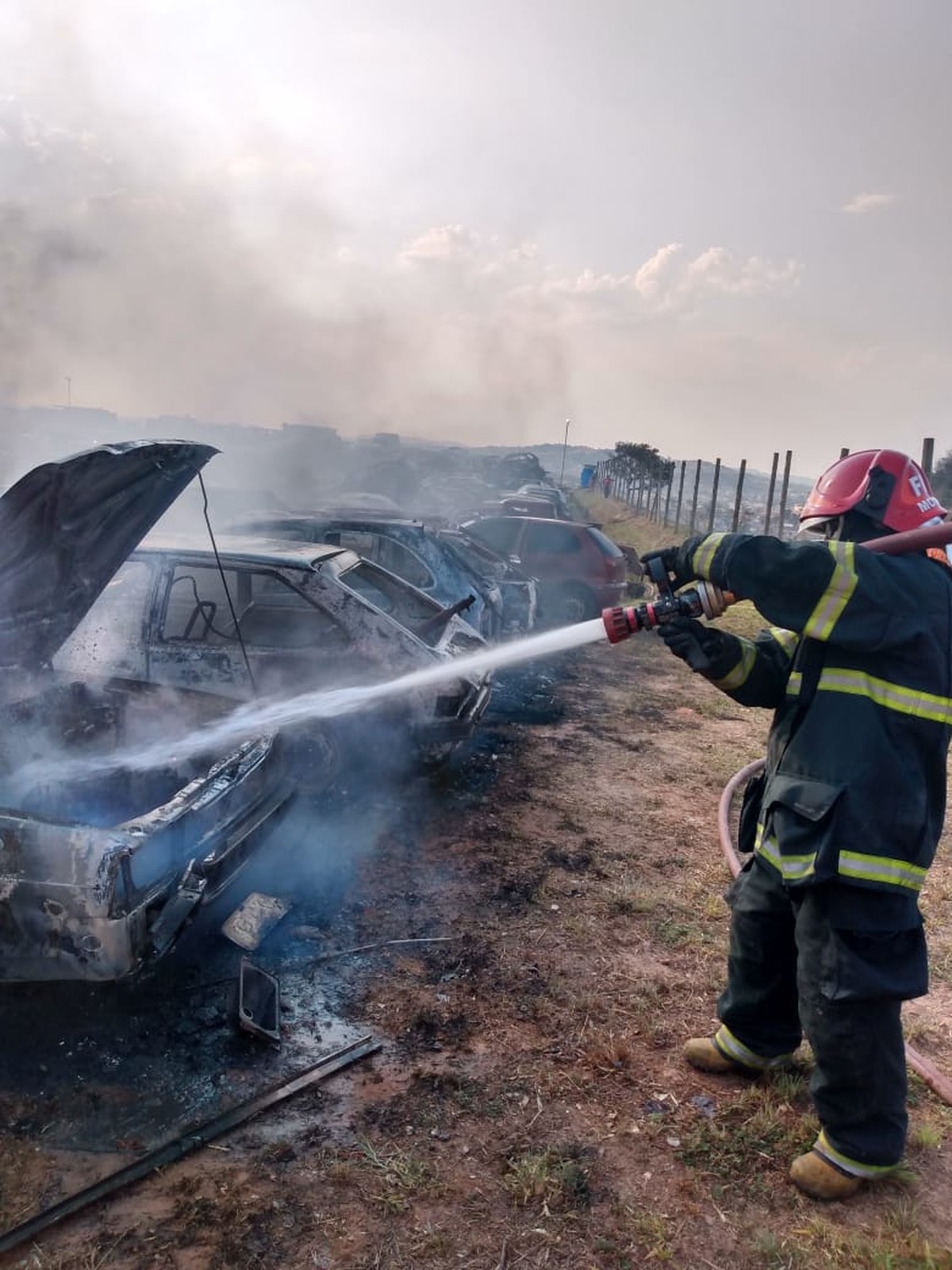 Incêndio em mata se alastra e destrói 25 veículos em pátio do Detran em