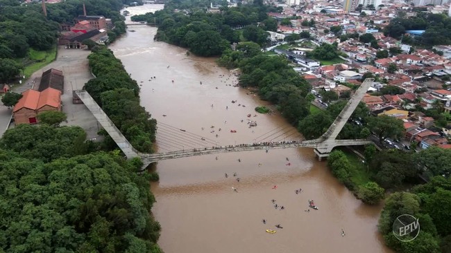 Retrospectiva TG: projetos de conservao que fizeram a diferena em 2023