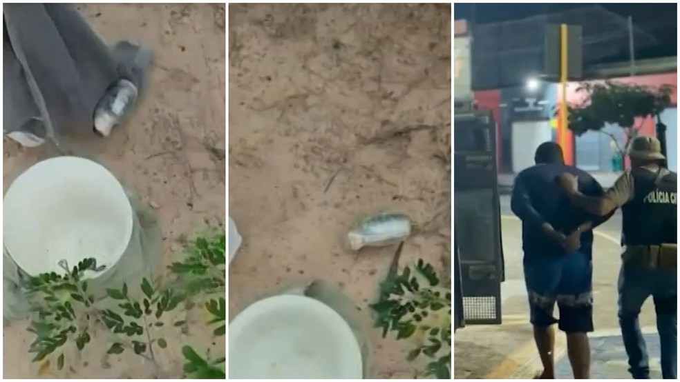 Homem é preso por planejar ataque com granadas a delegacia de Viçosa do Ceará — Foto: Reprodução