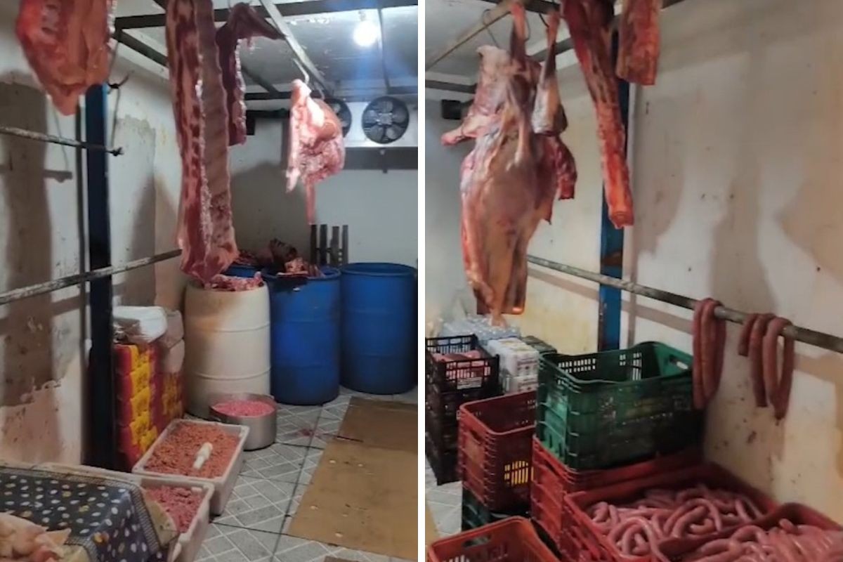 Polícia fecha matadouro clandestino e apreende mais de 700 quilos de carne em Jacareí