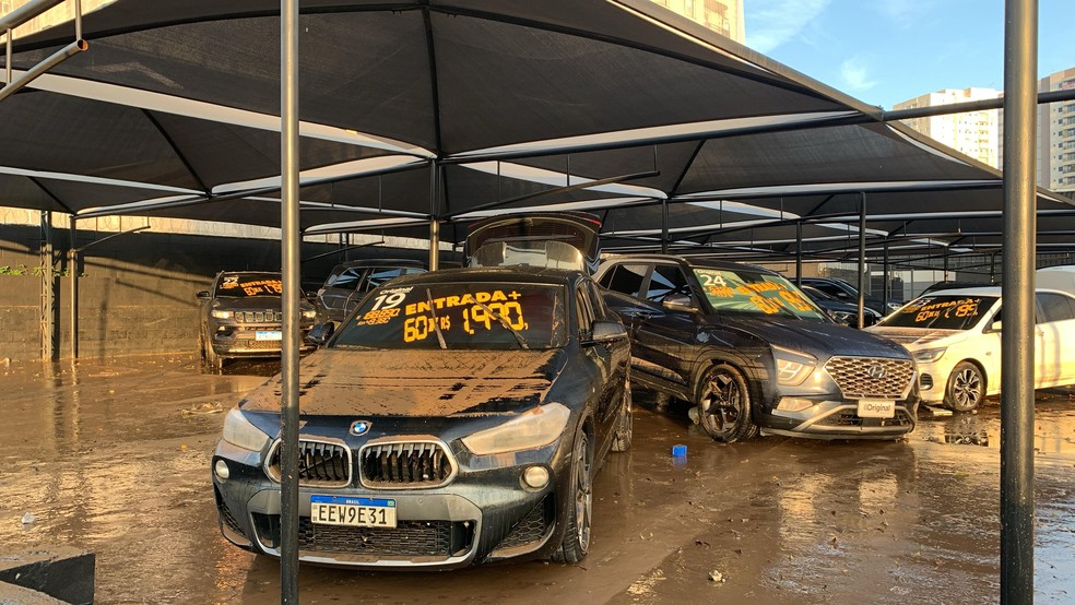 Dia seguinte dos carros de luxo em concessionária de Guarulhos afetada pelas chuvas — Foto: Aldieres Batista/TV Globo