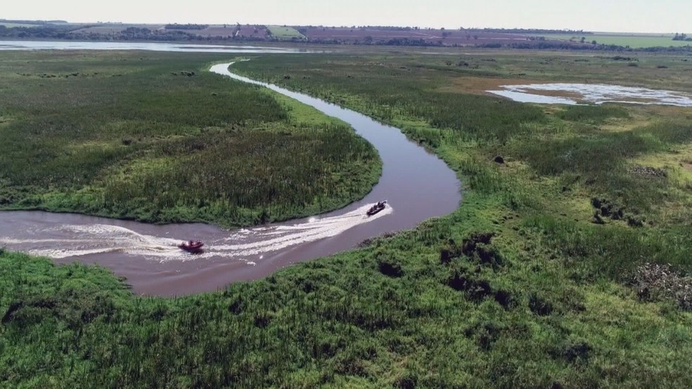 PE Rio do Peixe constitui o Pantaninho Paulista, que abriga um dos rios mais limpos de São Paulo — Foto: Globo Repórter/ Reprodução