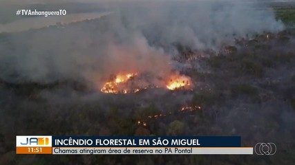 Incêndio no PA Pontal: área de reserva é atingida por chamas em São Miguel do Tocantins