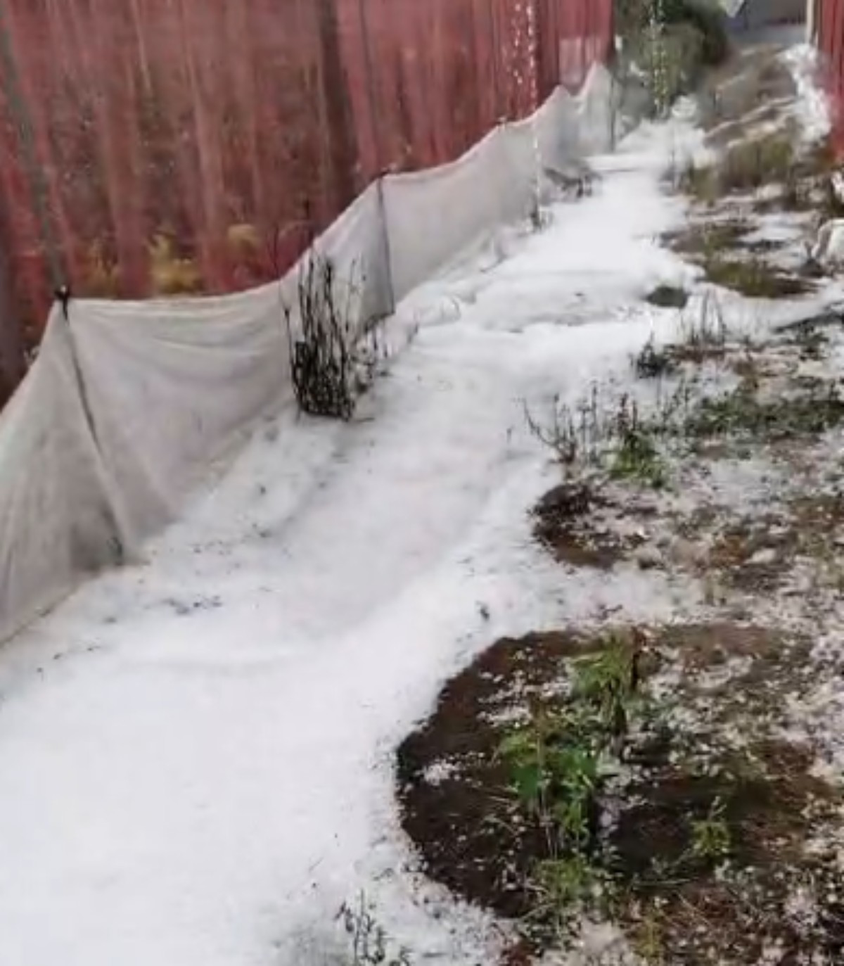 VÍDEO: temporal quebra telhados e enche quintais com pedras de gelo, no Paraná