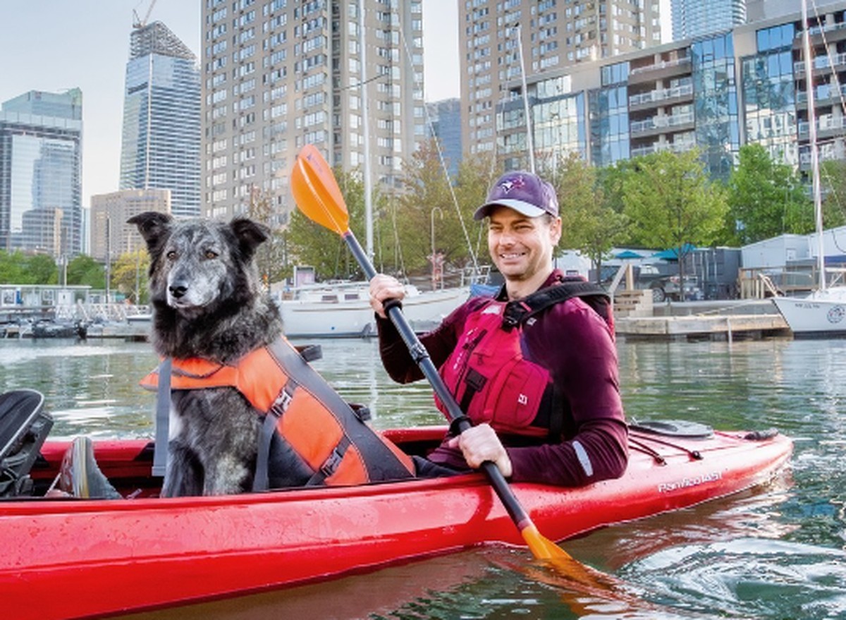Dog Molly and her guardian become candidates for mayor of Canada’s largest city |  World